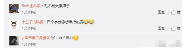 1530263706467755.jpg 10.jpg